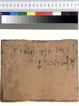 Image of a mummy label