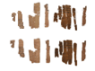 image of papyrus