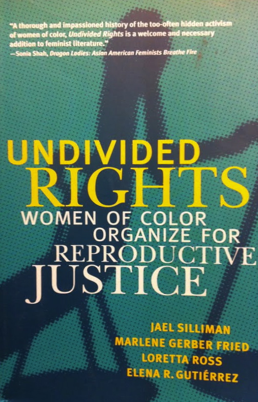 Undivided Rights: Women of Color Organize for Reproductive Justice