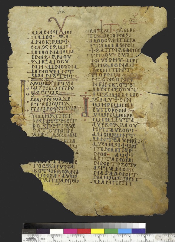Mich Ms. 158.28Unidentified literary work on biblical characters. Recto. Parchment. White Monastery, Sohag (Egypt).  Fragments of the same manuscript are kept in London, Paris, Vienna, and Naples. ca. 10th century. Parchment; 35 x 26 cm.