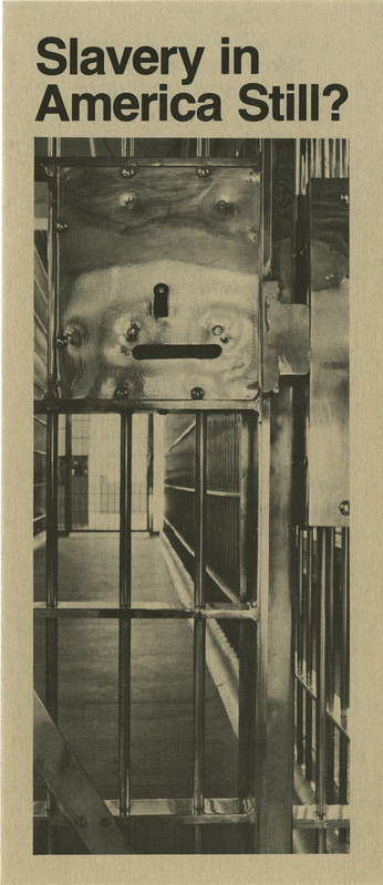 Slavery in America Still?