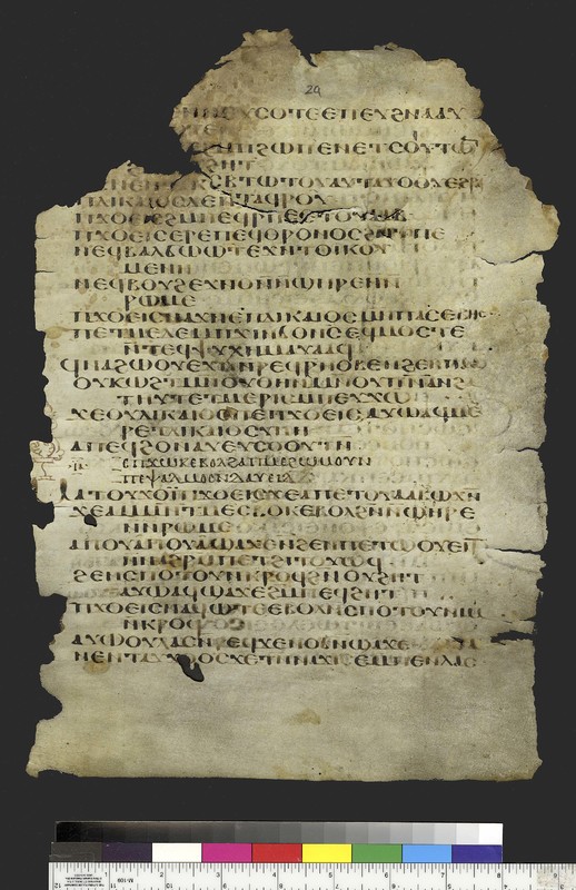 Mich. Ms. 158.2<br />Greek-Sahidic Psalter. Recto. Parchment. <span>White Monastery, Sohag (Egypt). ca. 7th-early 8th century. Parchment; 34 x 23.5 cm. </span>