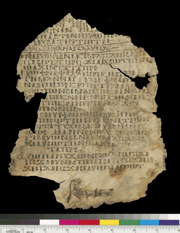 Mich. Ms. 116Psalms. Verso. Parchment. White Monastery, Sohag (Egypt). ca. 10th century. Parchment; 22.5 x 18.8 cm. 