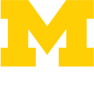 Link to Mlibrary website